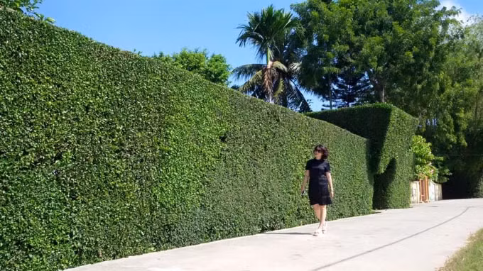 Một góc làng quê của xã Tùng Ảnh, huyện Đức Thọ.