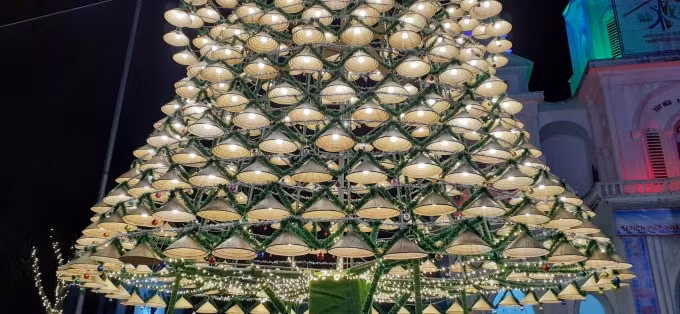 Cây thông Noel 