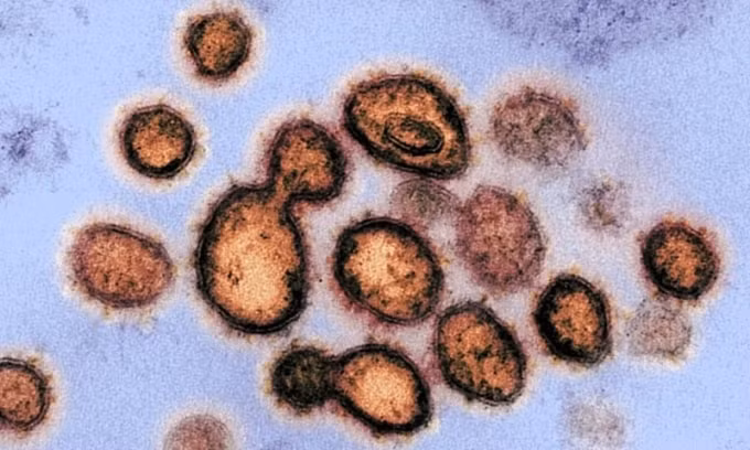 WHO điều tra biến thể mới của virus SARS-CoV-2 tại Anh. Ảnh minh họa.