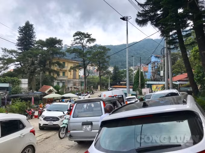 Việc buông lỏng quản lý trong lĩnh vực xây dựng đã và đang khiến khu du lịch Tam Đảo phải chịu nhiều tổn hại, hệ lụy như ô nhiễm môi trường, ùn tắc giao thông nghiêm trọng