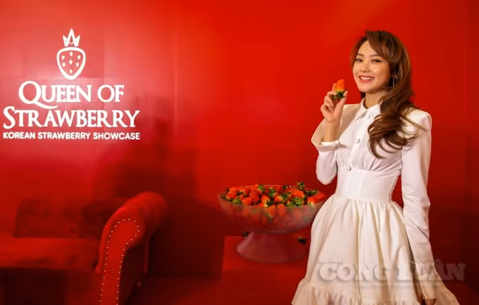 Sự kiện cũng hân hạnh được giới thiệu giống dâu tây mới “King's Berry”, một loại dâu tây quý hiếm, kích thước lớn, chỉ được sản xuất với số lượng nhỏ ở Hàn Quốc. Dâu thường nặng từ 22-25gr nhưng với King Berry dâu rất to nặng từ 50-55gr . Dâu King Bery được đóng 2 trái một hộp khoảng hơn 100gr, với độ ngọt sắc đặc biệt.