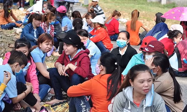 Việc phấn đấu tăng thu, giảm nợ góp phần đảm bảo quyền lợi cho NLĐ