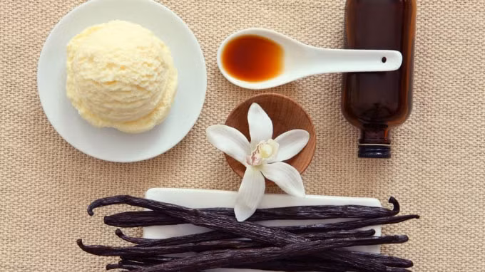 Quá trình trồng và thu hoạch vanilla rất tốn thời gian và công sức. Ảnh: HowStuffWorks.