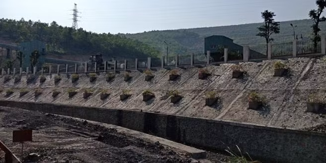 Kè chống sạt lở, kết hợp trồng cây tạo cảnh quan môi trường tại Công ty Tuyển Than Hòn Gai. Ảnh: Báo Quảng Ninh