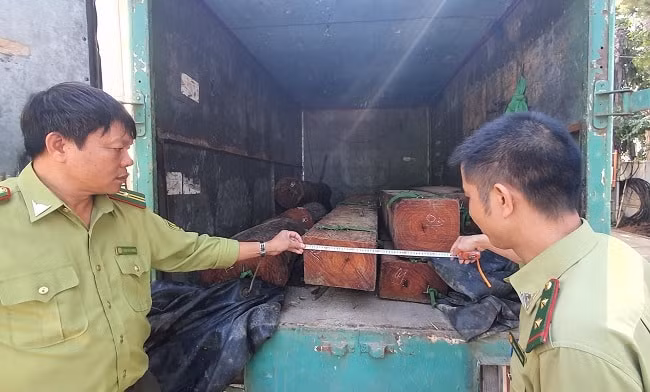 Xe chở gỗ lậu bị lực lượng chức năng bắt giữ. Ảnh: CAND
