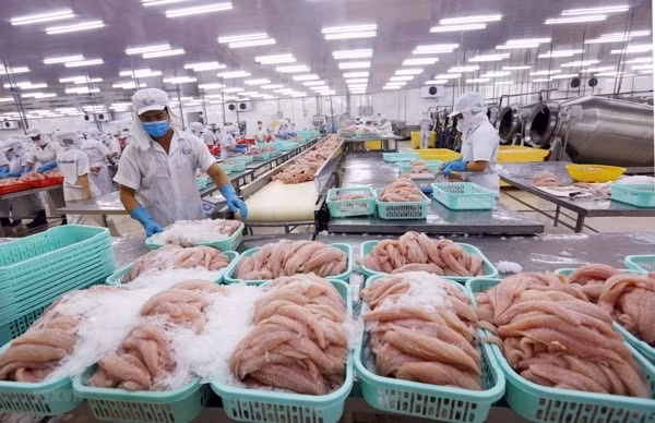 Xuất khẩu thủy sản đang có tín hiệu phục hồi