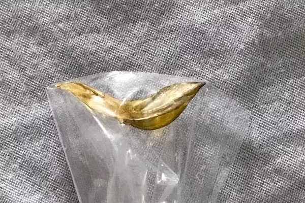Dị vật là xương cá sắc nhọn, dài khoảng 3cm được lấy ra từ thành ruột non của bệnh nhân. Ảnh: internet.