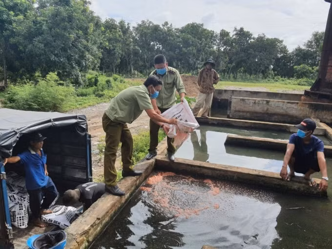 Lực lượng chức năng tỉnh Kiên Giang tiến hành tiêu hủy phân bón giả. (Ảnh: Tổng cục QLTT)
