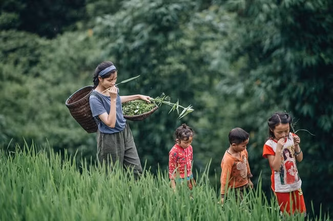 bến trên đỉnh đồi