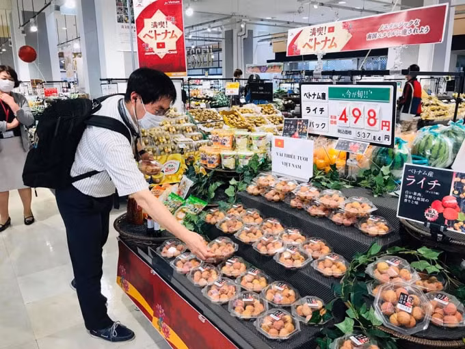 Tại Nhật, vải thiều là một mặt hàng rất có giá trị.