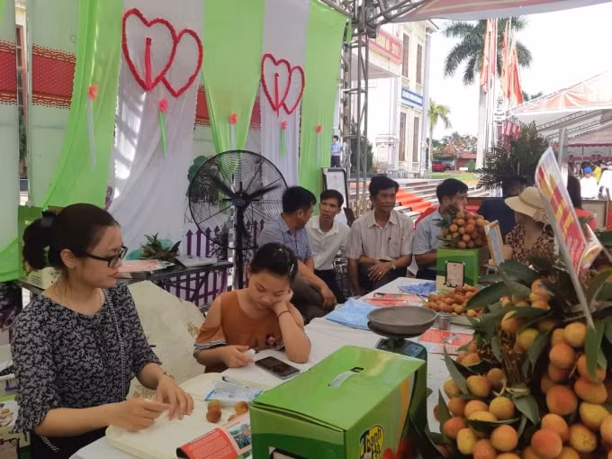 Một gian hàng bày bán, giới thiệu vải chín sớm U Hồng tại ngày hội. Ảnh: Ngọc Thành