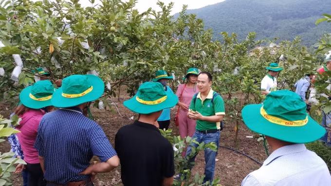 Không chỉ là tiếp thị, bán hàng mà cán bộ thị trường còn là chuyên gia tư vấn nông nghiệp, phân bón cho bà con.