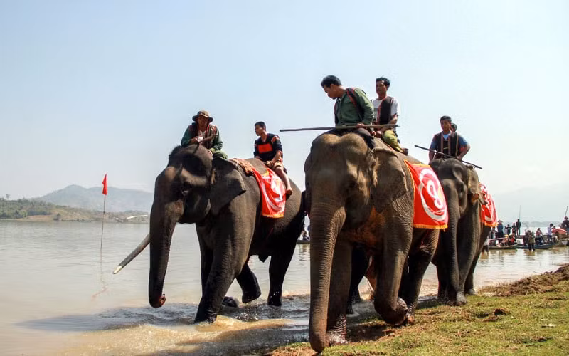 Lễ hội cà phê Buôn Ma Thuột lần thứ 6 và Liên hoan văn hóa Cồng chiêng Tây Nguyên. Ảnh VOV-Tây nguyên