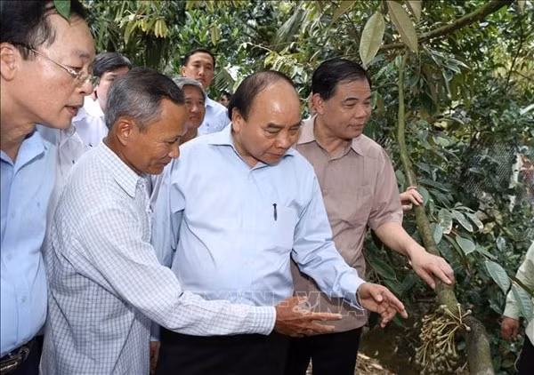 Thủ tướng Nguyễn Xuân Phúc thăm mô hình chuyển đổi sản xuất cây nông nghiệp thích nghi với hạn mặn tại xã Hiệp Đức, huyện Cai Lậy, tỉnh Tiền Giang. Ảnh: TTXVN