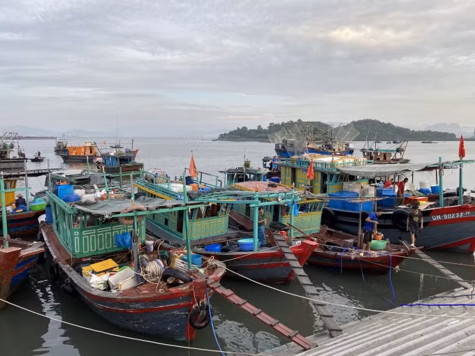 Tàu thuyền cũng gặp phải nhiều khó khăn khi neo đậu vào khu chợ mới. Ảnh: Dương Lâm