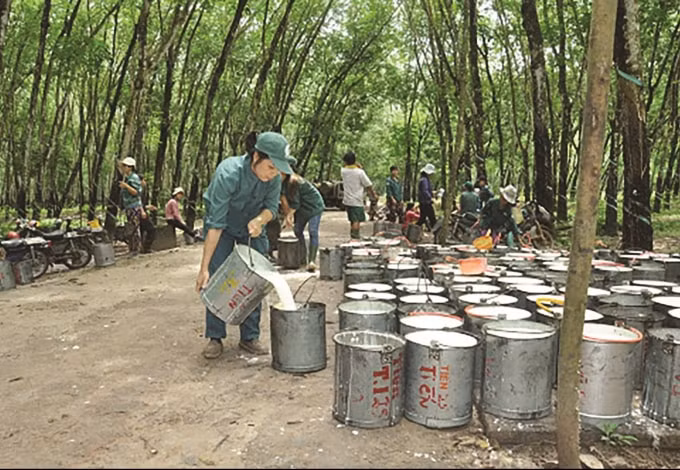 Nhóm săm lốp “dậy sóng” nhờ thông tin M&A từ Vinachem.