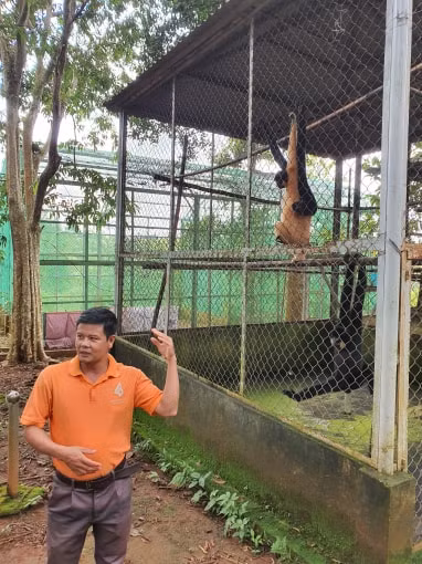 Kỹ sư Kiều Đình Tháp giới thiệu bảo vệ linh trưởng.