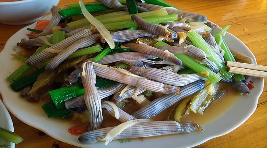 Sá sùng