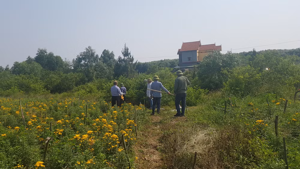 Dân lấn chiếm đất rừng tại tại lô 7, 10, khoảnh 2, tiểu khu 259 thuộc vườn cao su năm 2012 do Chi nhánh Lâm trường Đồng Hới quản lý. Ảnh PV