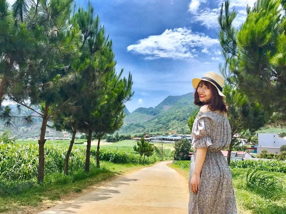 Mộc Châu bạt ngàn màu xanh - tưới mát tâm hồn, tái tạo năng lượng (Ảnh sưu tầm)