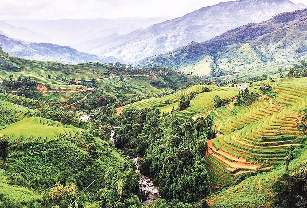 Ruộng bậc thang - Tây Nguyên.