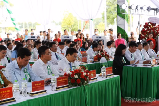 Ninh Bình: Bệnh viện Bạch Mai cơ sở Ninh Bình chính thức đi vào hoạt động