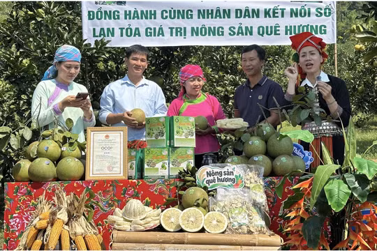 Mở đường cho kinh tế số vùng cao: Cách Báo và Phát thanh, Truyền hình Lào Cai đồng hành cùng bản làng