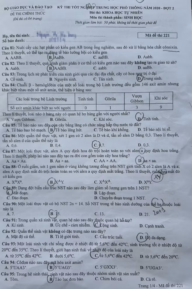 mã đề 211