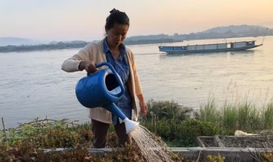 Một khúc dòng Mekong ở khu vực biên giới Thái Lan - Lào - Ảnh: International Rivers