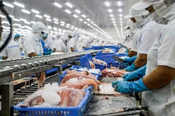 Thủy sản là một trong những mặt hàng có tiềm năng tăng trưởng xuất khẩu sang thị trường EU
