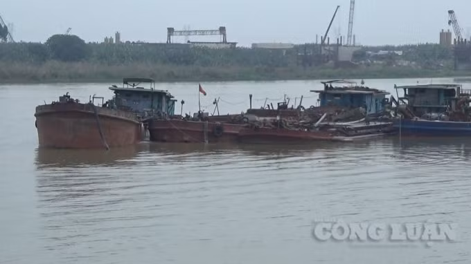 Một số tàu đậu đỗ tại khu vực sông Đuống trên địa bàn xã Đình Tổ, huyện Thuận Thành vận chuyển cát bất hợp pháp.