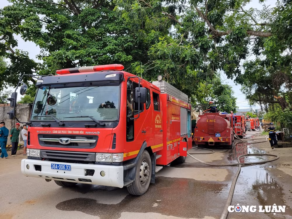 sam son thanh hoa chay xuong thu mua phe lieu hinh 5