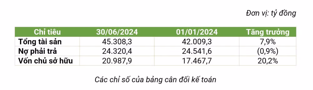 bamboo capital bcg loi nhuan sau thue quy 2 tang truong gap doi mang nang luong dong gop lon hinh 2