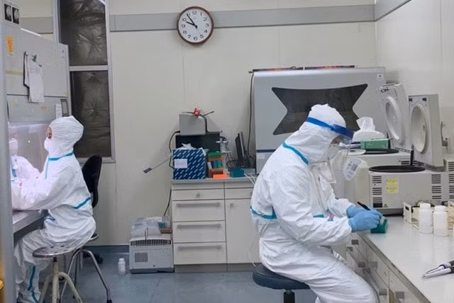 Trên cả nước hiện có 22 đơn vị đủ năng lực xét nghiệm khẳng định ca nhiễm virus Sars-CoV-2. Ảnh TL.