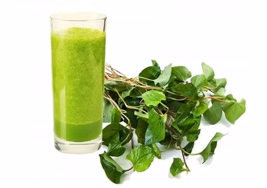 Rau diếp cá có tác dụng thanh nhiệt, giải độc, tiêu đờm