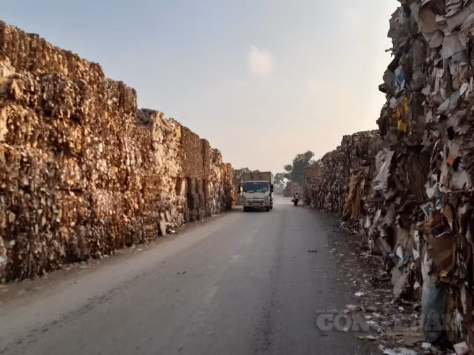 Đường dẫn vào Cụm công nghiệp Phú Lâm giấy vụn được xếp cao hai bên đường. Ảnh HL.