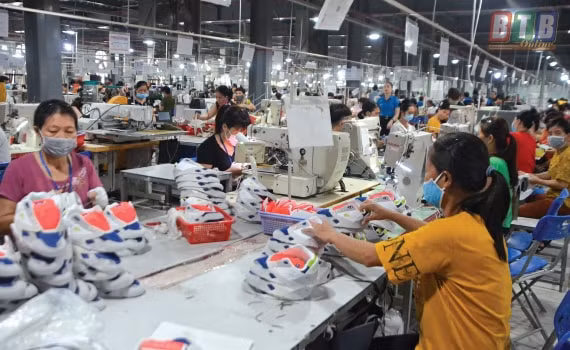 Công ty TNHH Creative Source Việt Nam, xã Minh Lãng (Vũ Thư) trang bị đầy đủ bảo hộ lao động cho người lao động trong quá trình làm việc. Ảnh: Báo Thái Bình