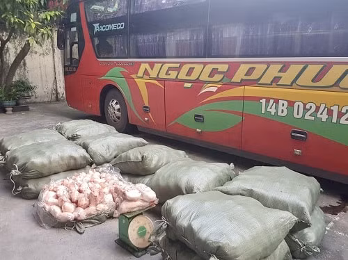 1,7 tấn thịt vịt không rõ nguồn gốc.