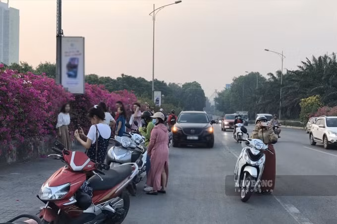 Nhiều người bất chấp nguy hiểm, đỗ phương tiện trên cầu để 