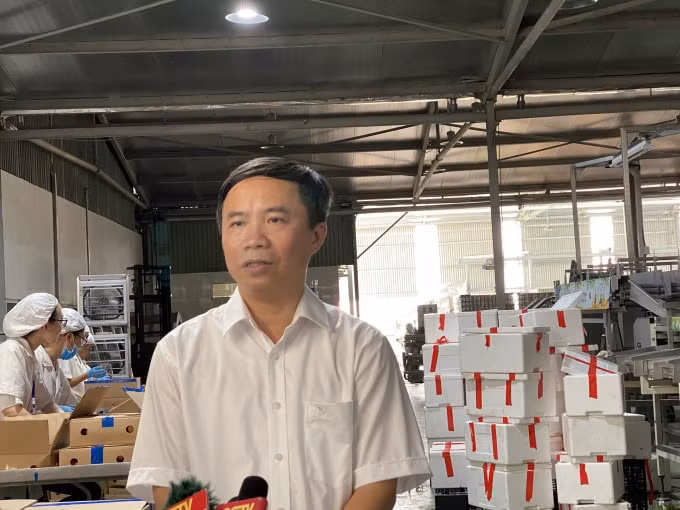 Ông Dương Thanh Tùng- Giám đốc Sở Nông nghiệp & Phát triển Nông thôn Bắc Giang trao đổi với PV. Ảnh: Dương Lâm