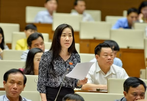 Đại biểu Quốc hội Đoàn Thị Thanh Mai