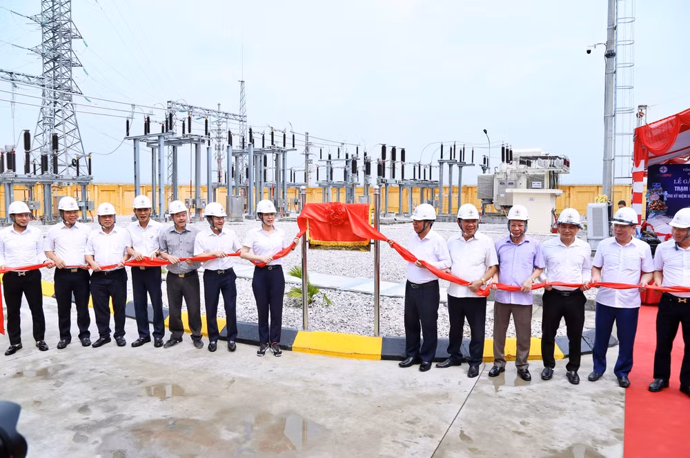 tu hao 95 mua xuan co dang quang vinh hinh 4