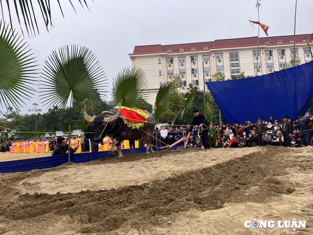 tung bung ngay hoi long tong ruoc loc dau nam tren dat tuyen quang hinh 11