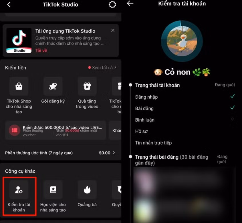 huong dan kiem tra tai khoan tiktok co vi pham khong hinh 3