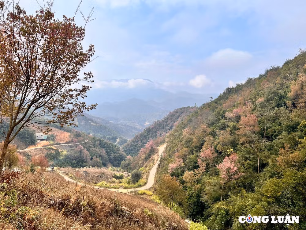 den la pan tan ngam hoa to day kham pha nhung gia tri van hoa va thien nhien doc dao hinh 4
