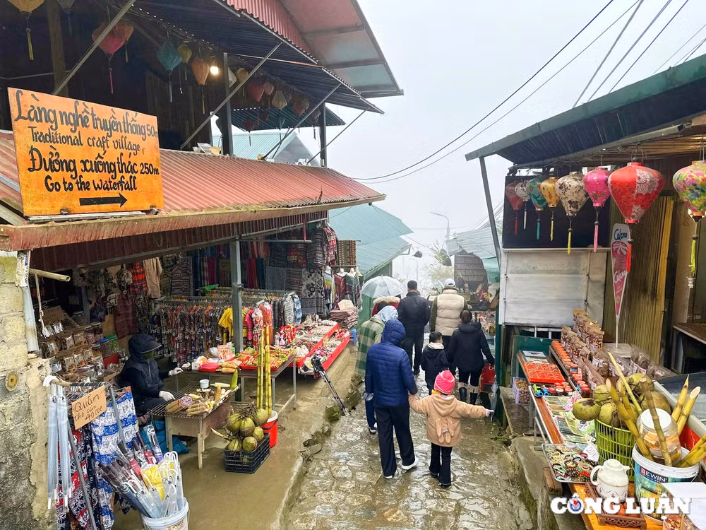 ban cat cat chon bong lai tien canh giua thi tran sa pa hinh 5