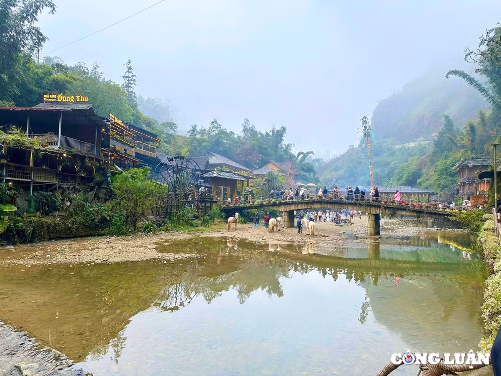 ban cat cat chon bong lai tien canh giua thi tran sa pa hinh 3