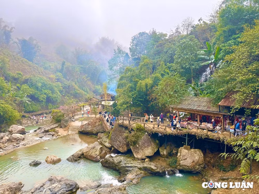 ban cat cat chon bong lai tien canh giua thi tran sa pa hinh 2