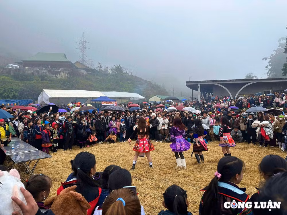 ban cat cat chon bong lai tien canh giua thi tran sa pa hinh 24