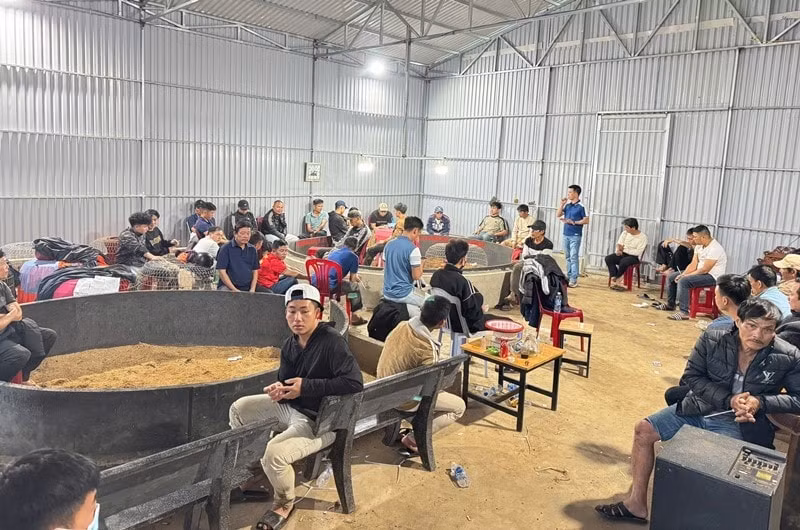 dak lak triet pha tu diem danh bac duoi hinh thuc da ga hinh 2